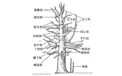 未標題-2