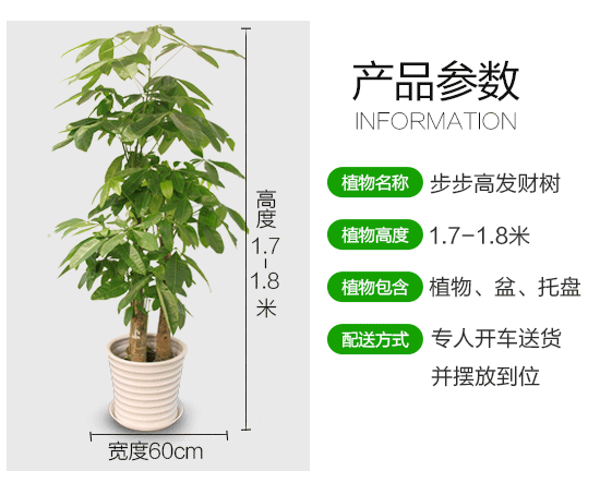 1-1F410101PX47