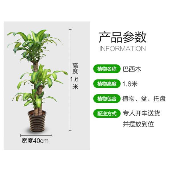 1-1F41213542E62