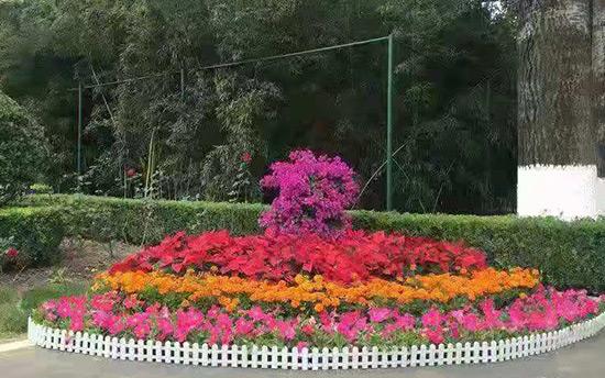 節日花壇